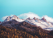 米乐官方网站：打造无忧购物的新纪元