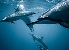 PG电子最新官网：一站式线上娱乐体验的全新定义