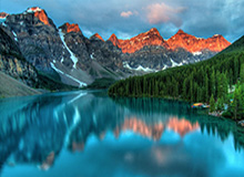 米乐官方网站：打造无忧购物的新纪元